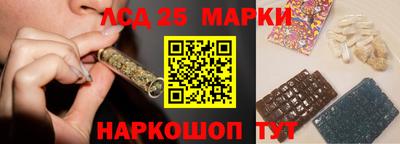 стафф Бийск