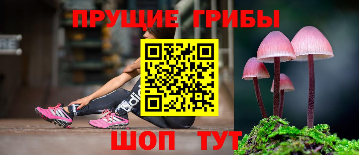 Галлюциногенные грибы Magic Shrooms  Псилоцибиновые грибы Psilocybine cubensis  закладки  Вход с VPN  Коломна 